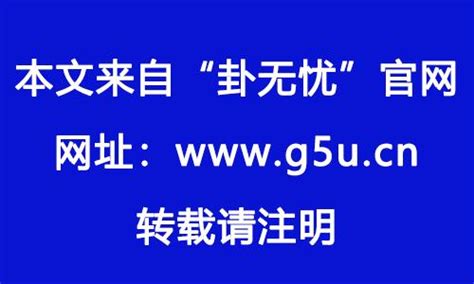 1982 生肖|1982年属什么生肖